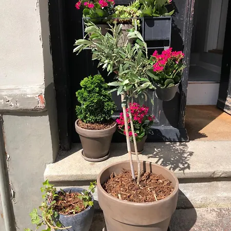 Huset Ved Springvandet Randers