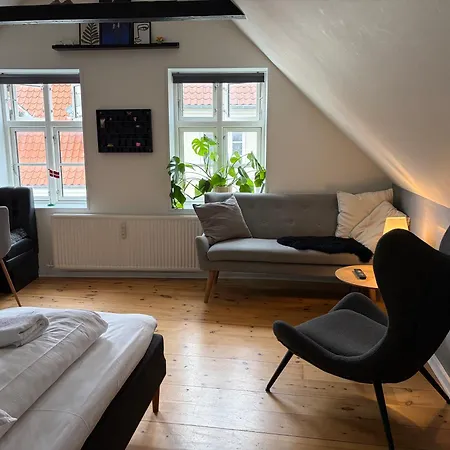 Huset Ved Springvandet شقة راندرس
