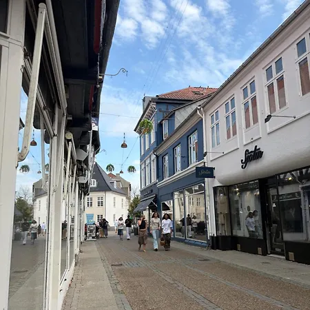 Huset Ved Springvandet شقة راندرس