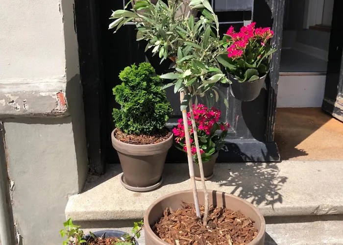 Huset Ved Springvandet Раннерс